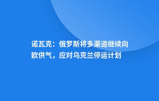 诺瓦克：俄罗斯将多渠道继续向欧供气，应对乌克兰停运计划