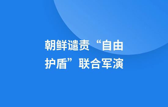 朝鲜谴责“自由护盾”联合军演