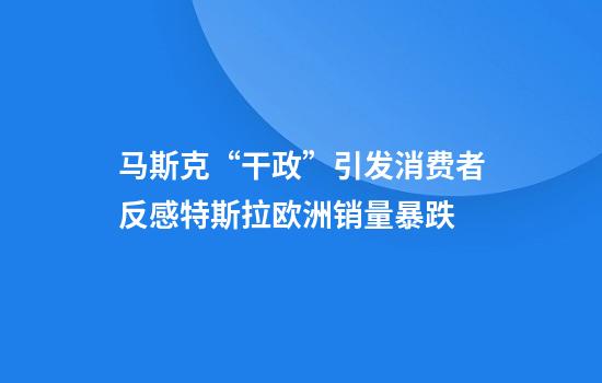 马斯克“干政”引发消费者反感特斯拉欧洲销量暴跌