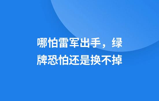 哪怕雷军出手，绿牌恐怕还是换不掉