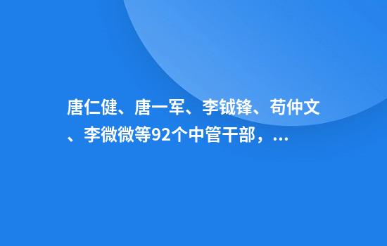 唐仁健、唐一军、李钺锋、苟仲文、李微微等92个中管干部，2024年被查