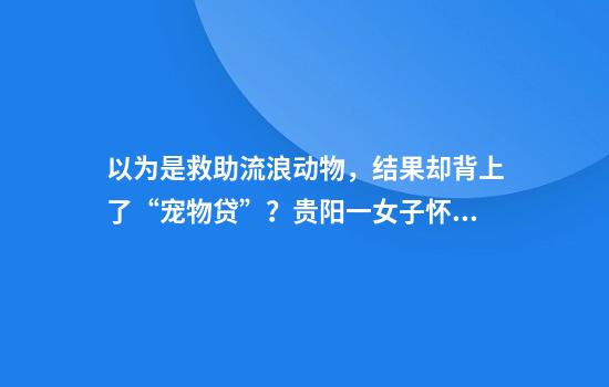 以为是救助流浪动物，结果却背上了“宠物贷”？贵阳一女子怀疑遭遇套路