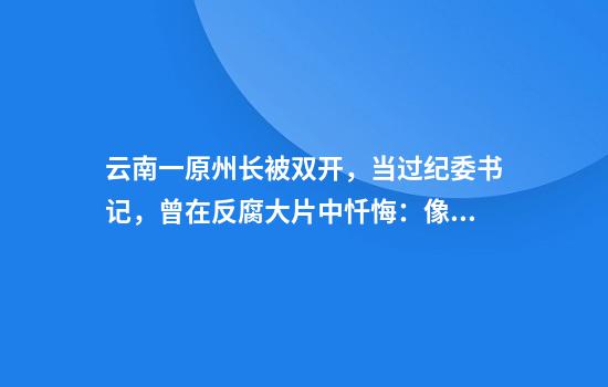 云南一原州长被双开，当过纪委书记，曾在反腐大片中忏悔：像吸了毒一样抵挡不住