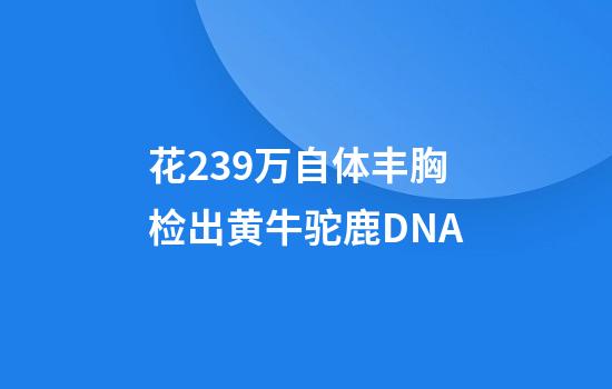 花239万自体丰胸检出黄牛驼鹿DNA
