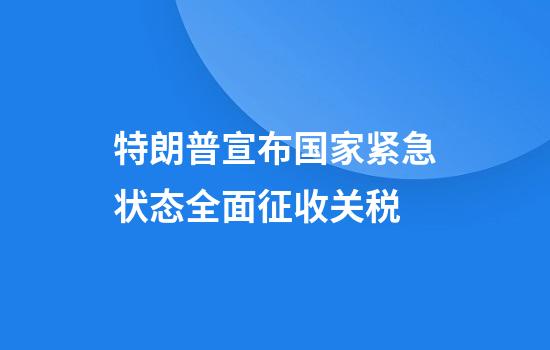 特朗普宣布国家紧急状态全面征收关税