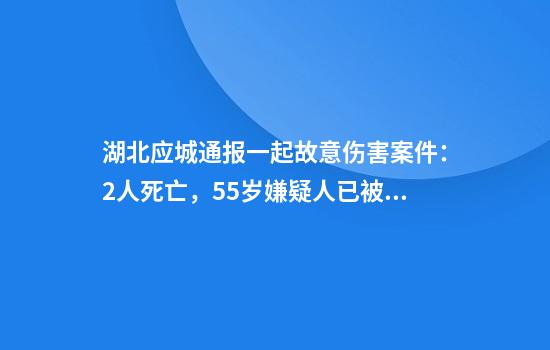湖北应城通报一起故意伤害案件：2人死亡，55岁嫌疑人已被控制