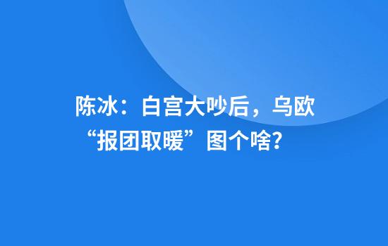 陈冰：白宫大吵后，乌欧“报团取暖”图个啥？