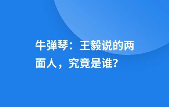 牛弹琴：王毅说的两面人，究竟是谁？