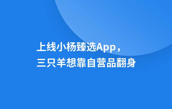 上线小杨臻选App，三只羊想靠自营品翻身