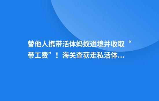 替他人携带活体蚂蚁进境并收取“带工费”！海关查获走私活体蚂蚁11只