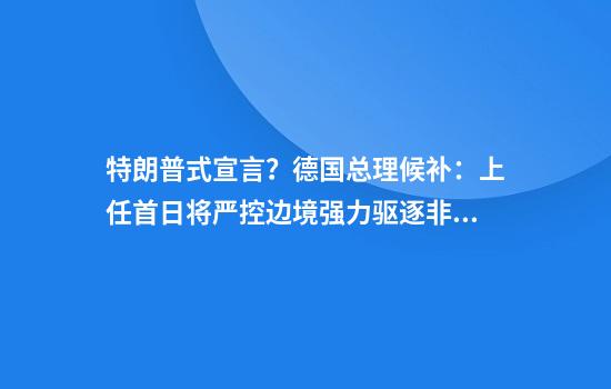 特朗普式宣言？德国总理候补：上任首日将严控边境强力驱逐非法移民