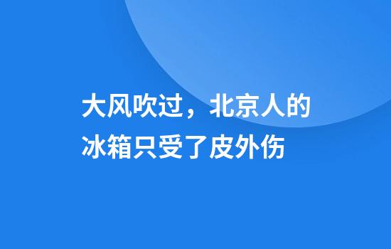 大风吹过，北京人的冰箱只受了皮外伤
