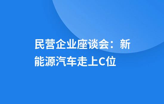民营企业座谈会：新能源汽车走上C位