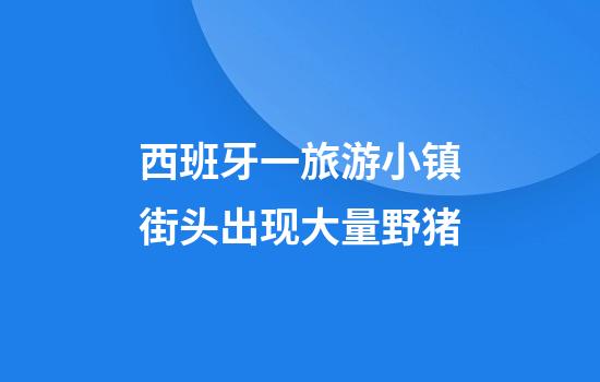 西班牙一旅游小镇街头出现大量野猪