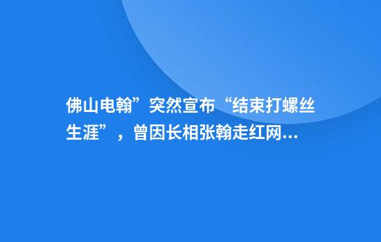 佛山电翰”突然宣布“结束打螺丝生涯”，曾因长相张翰走红网络