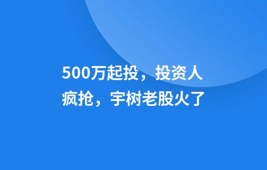 500万起投，投资人疯抢，宇树老股火了
