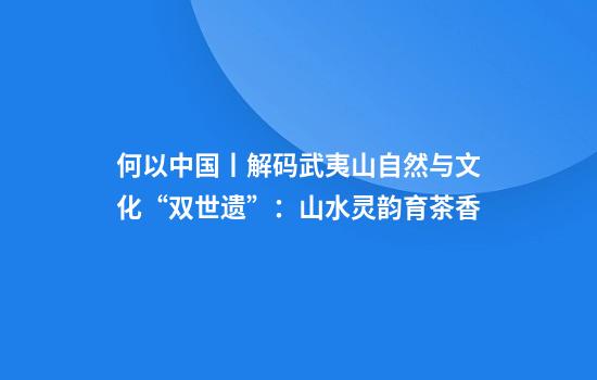 何以中国丨解码武夷山自然与文化“双世遗”：山水灵韵育茶香