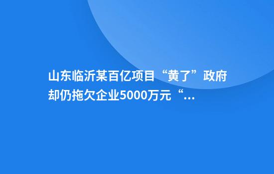 山东临沂某百亿项目“黄了”政府却仍拖欠企业5000万元“预付款”？