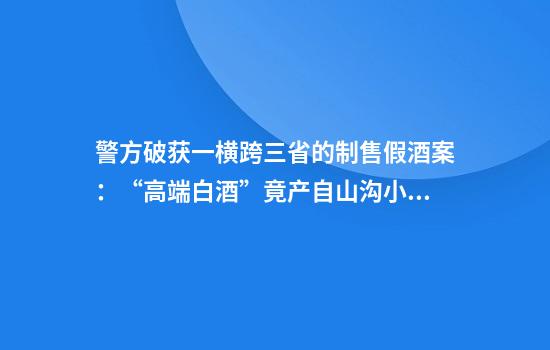 警方破获一横跨三省的制售假酒案：“高端白酒”竟产自山沟小作坊