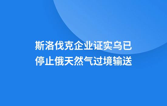 斯洛伐克企业证实乌已停止俄天然气过境输送