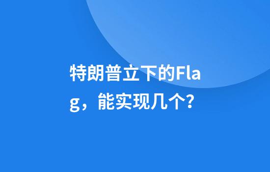 特朗普立下的Flag，能实现几个？