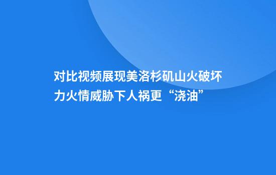 对比视频展现美洛杉矶山火破坏力火情威胁下人祸更“浇油”