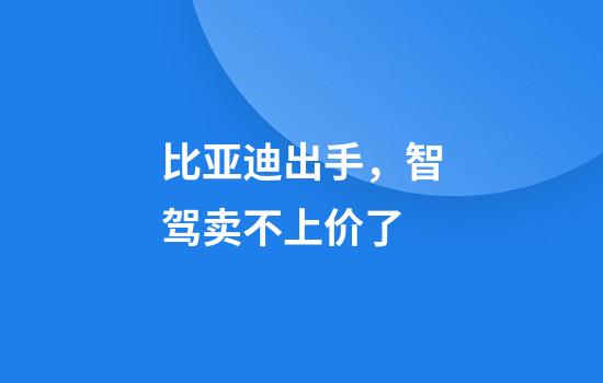 比亚迪出手，智驾卖不上价了