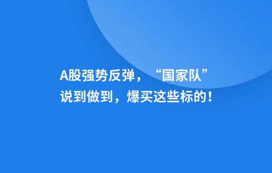 A股强势反弹，“国家队”说到做到，爆买这些标的！