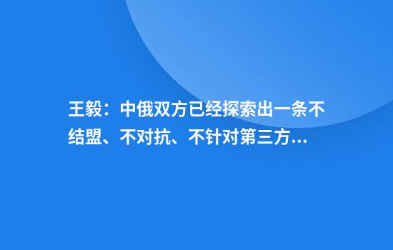 王毅：中俄双方已经探索出一条不结盟、不对抗、不针对第三方的相处之道