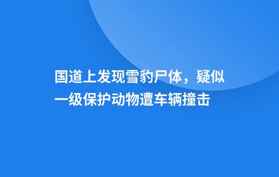 国道上发现雪豹尸体，疑似一级保护动物遭车辆撞击
