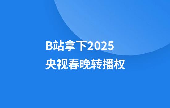 B站拿下2025央视春晚转播权