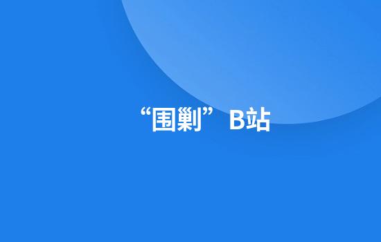 “围剿”B站