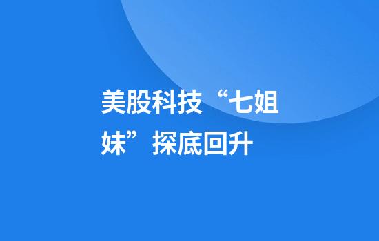 美股科技“七姐妹”探底回升