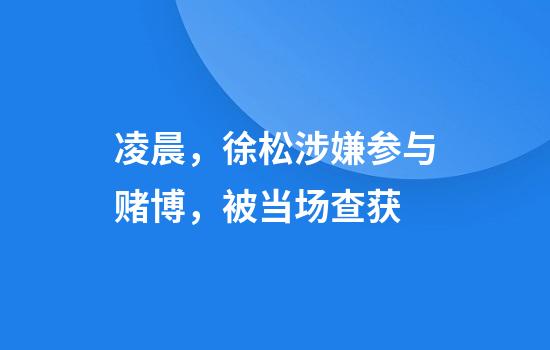 凌晨，徐松涉嫌参与赌博，被当场查获