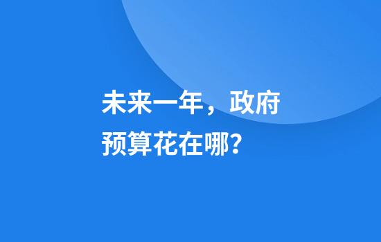 未来一年，政府预算花在哪？