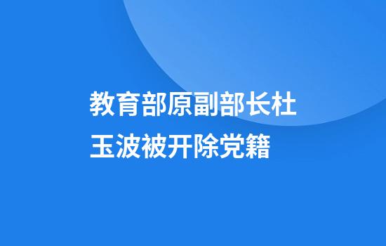 教育部原副部长杜玉波被开除党籍