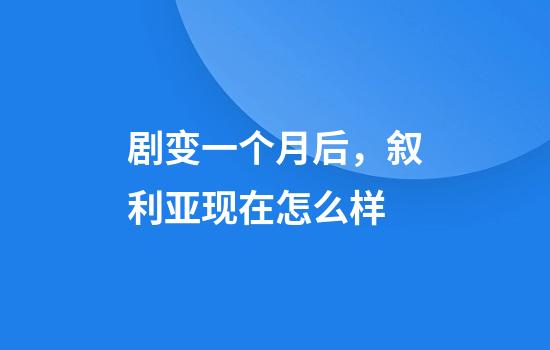 剧变一个月后，叙利亚现在怎么样