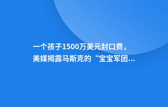 一个孩子1500万美元封口费，美媒揭露马斯克的“宝宝军团”愿景