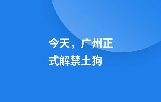 今天，广州正式解禁土狗