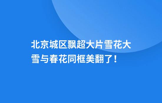 北京城区飘超大片雪花大雪与春花同框美翻了！