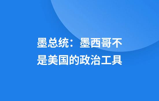 墨总统：墨西哥不是美国的政治工具