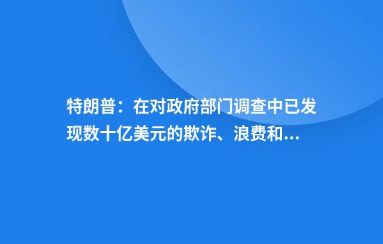 特朗普：在对政府部门调查中已发现数十亿美元的欺诈、浪费和滥用