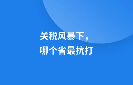 关税风暴下，哪个省最抗打