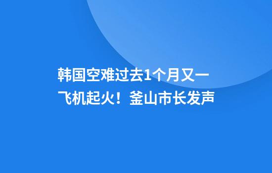 韩国空难过去1个月又一飞机起火！釜山市长发声