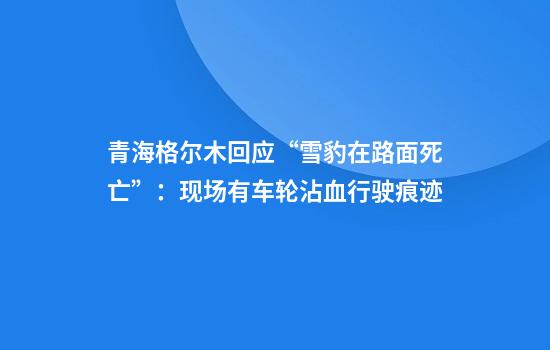 青海格尔木回应“雪豹在路面死亡”：现场有车轮沾血行驶痕迹