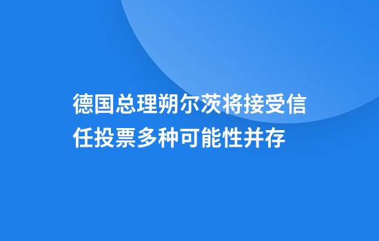 德国总理朔尔茨将接受信任投票多种可能性并存