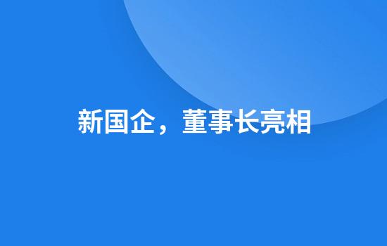 新国企，董事长亮相