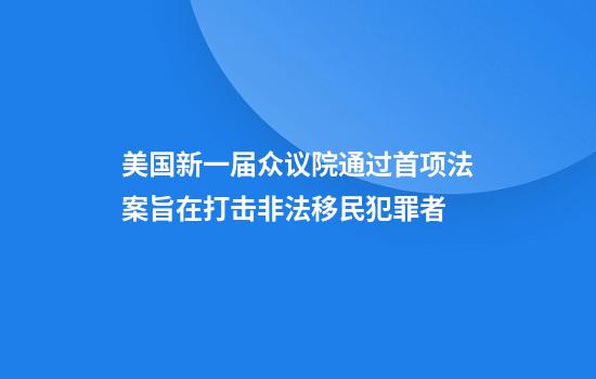 美国新一届众议院通过首项法案旨在打击非法移民犯罪者