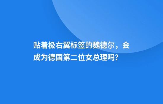 贴着极右翼标签的魏德尔，会成为德国第二位女总理吗？