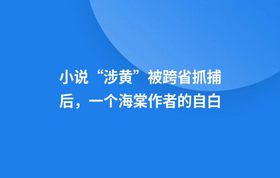 小说“涉黄”被跨省抓捕后，一个海棠作者的自白